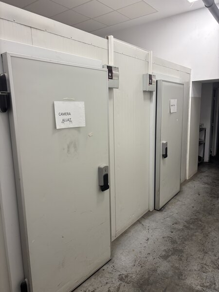 Piata Delfinului, Sector 2, Bucuresti,